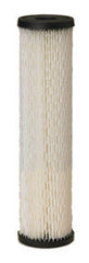 4"x10" 20 Micron Pentair Pleated Water Filter Cartridge